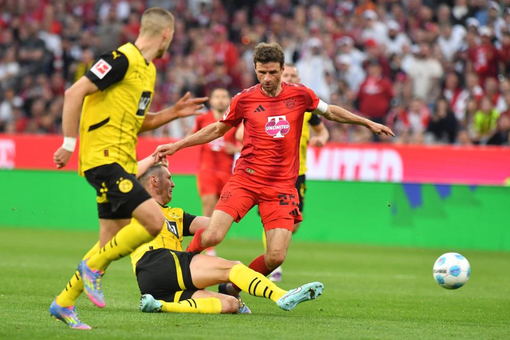 在各项赛事 在各项赛事