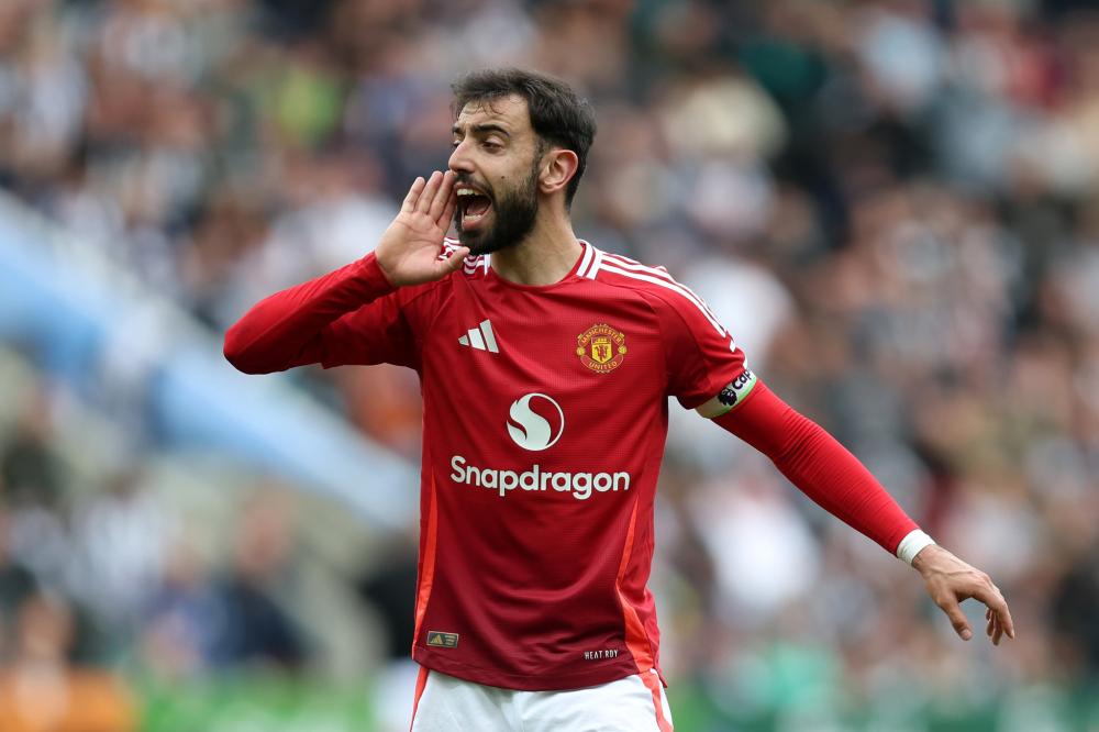 不仅吸引了 不仅吸引了